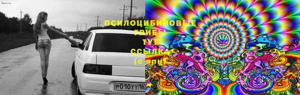 ECSTASY Надым