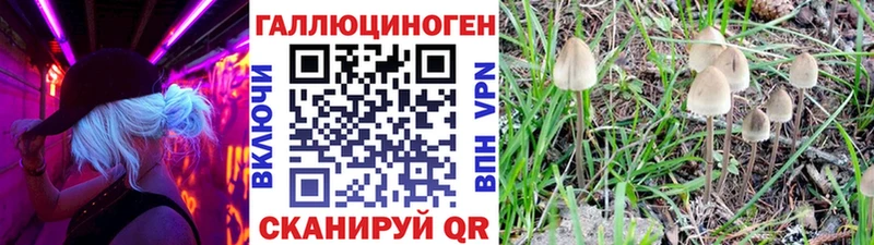 Псилоцибиновые грибы мицелий  Оренбург 